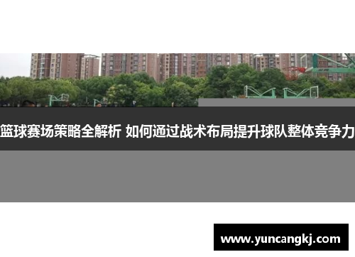 篮球赛场策略全解析 如何通过战术布局提升球队整体竞争力